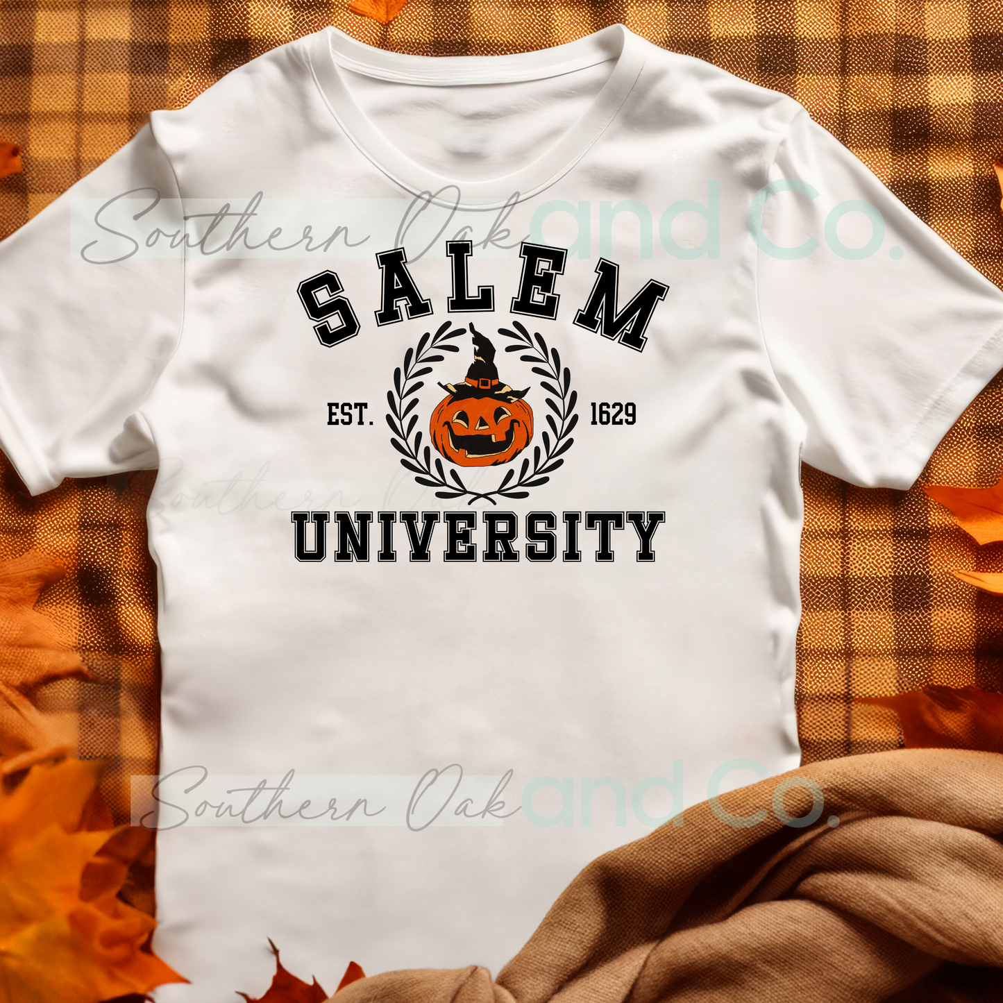 Salem University